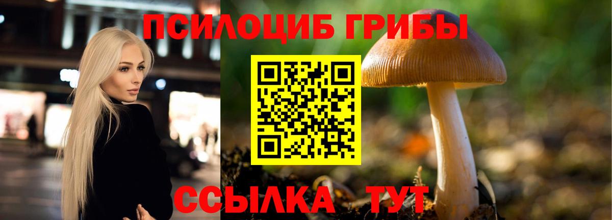закладка  Галлюциногенные грибы мухоморы  Вход с VPN  Аксай 